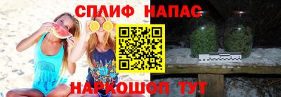 кокс Можга