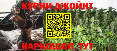 кокс Можга